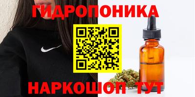прущие грибы Малгобек