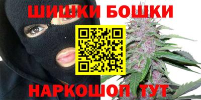 прущие грибы Малгобек