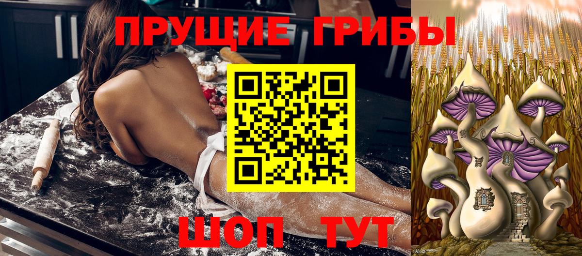 Псилоцибиновые грибы мухоморы Владикавказ
