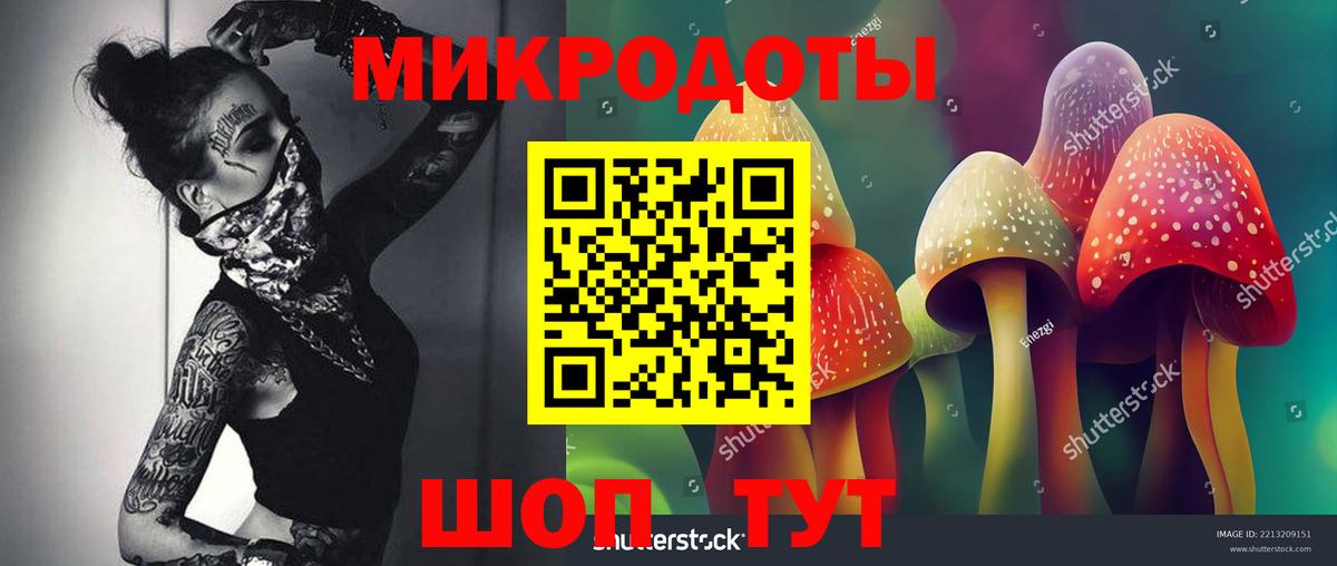 купить наркотики сайты  Псилоцибиновые грибы ЛСД  Вход с VPN  Владикавказ 